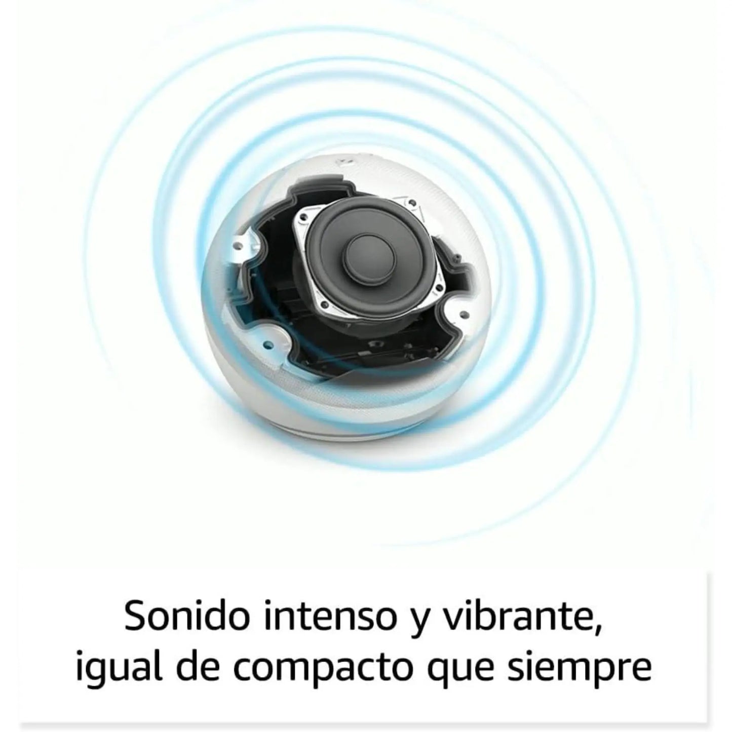 Amazon Echo Dot 5 Gen con Reloj